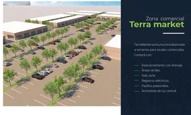 erreno Venta Frac. Hacienda Terraviva, Pueblo Telchac, Priv Ceiba, Merida, Yucatan