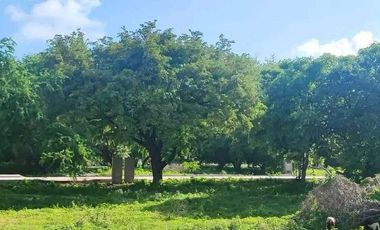 Se venden terrenos en playa, Puerto Escondido Oax.