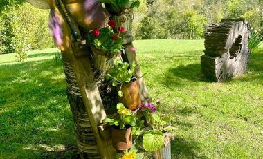 SE vende paraíso en la Tierra, acogedora casa con vista al lago Calafquén