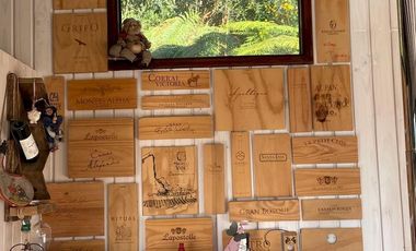 SE vende paraíso en la Tierra, acogedora casa con vista al lago Calafquén