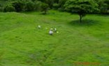 Venta Finca Ganadera en Santa Bárbara Antioquia