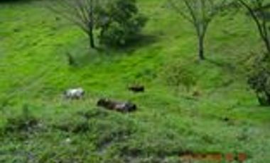 Venta Finca Ganadera en Santa Bárbara Antioquia