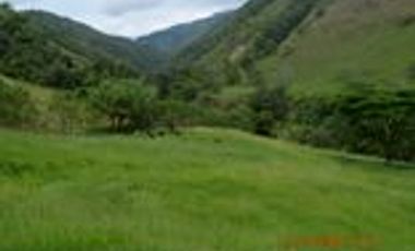 Venta Finca Ganadera en Santa Bárbara Antioquia