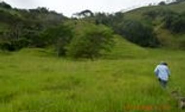 Venta Finca Ganadera en Santa Bárbara Antioquia