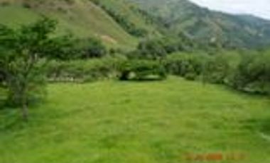 Venta Finca Ganadera en Santa Bárbara Antioquia