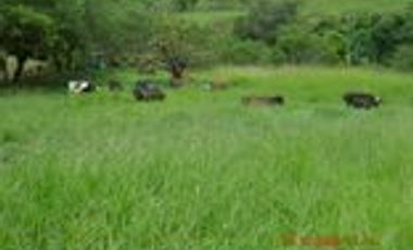 Venta Finca Ganadera en Santa Bárbara Antioquia