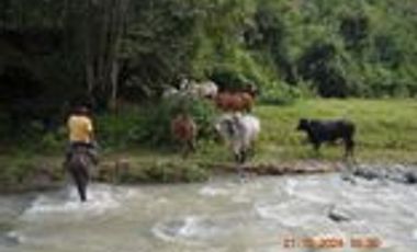 Venta Finca Ganadera en Santa Bárbara Antioquia