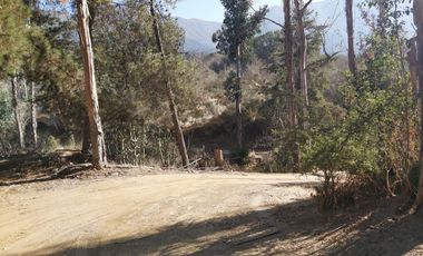 TERRENO SECTOR LOS CANELOS CURACAVI DE 8 HECTAREAS