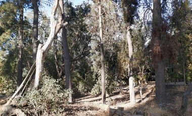 TERRENO SECTOR LOS CANELOS CURACAVI DE 8 HECTAREAS