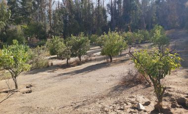 TERRENO SECTOR LOS CANELOS CURACAVI DE 8 HECTAREAS