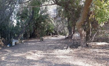 TERRENO SECTOR LOS CANELOS CURACAVI DE 8 HECTAREAS