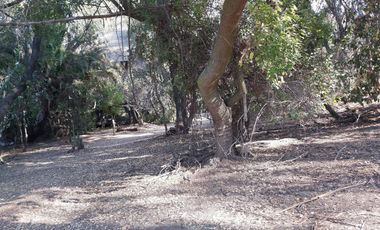 TERRENO SECTOR LOS CANELOS CURACAVI DE 8 HECTAREAS