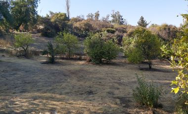 TERRENO SECTOR LOS CANELOS CURACAVI DE 8 HECTAREAS