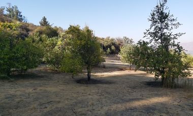 TERRENO SECTOR LOS CANELOS CURACAVI DE 8 HECTAREAS