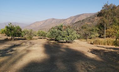 TERRENO SECTOR LOS CANELOS CURACAVI DE 8 HECTAREAS