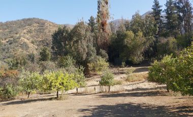 TERRENO SECTOR LOS CANELOS CURACAVI DE 8 HECTAREAS