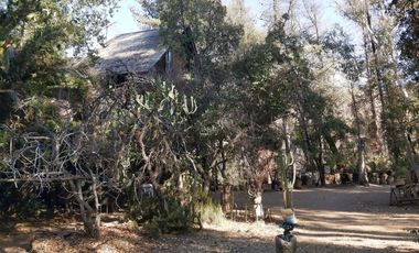 TERRENO SECTOR LOS CANELOS CURACAVI DE 8 HECTAREAS