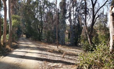 TERRENO SECTOR LOS CANELOS CURACAVI DE 8 HECTAREAS