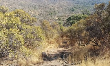 TERRENO EN LOS CANELOS DE MIRAFLORES DE 45 HECTAREAS