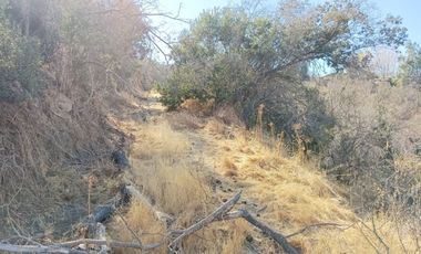 TERRENO EN LOS CANELOS DE MIRAFLORES DE 45 HECTAREAS
