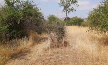 PARCELA PLANA CON CASA EN CUYUNCAVÍ BAJO CURACAVI