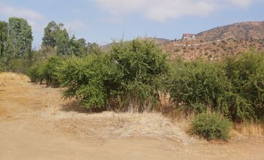 PARCELA PLANA CON CASA EN CUYUNCAVÍ BAJO CURACAVI