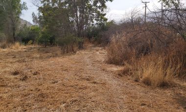 PARCELA PLANA CON CASA EN CUYUNCAVÍ BAJO CURACAVI