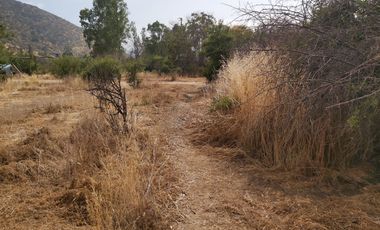 PARCELA PLANA CON CASA EN CUYUNCAVÍ BAJO CURACAVI