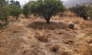 PARCELA PLANA CON CASA EN CUYUNCAVÍ BAJO CURACAVI