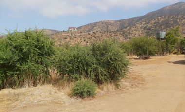 PARCELA PLANA CON CASA EN CUYUNCAVÍ BAJO CURACAVI