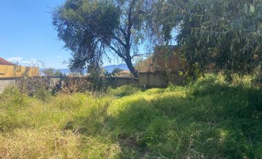 TERRENO EN VENTA EN AJIJIC