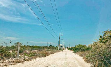 Terreno en Venta en Chicxulub