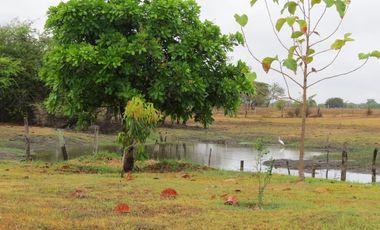 ARRIENDO HERMOSA CASA MODERNA CAMPESTRE EN RESERVA DEL GUAYACÁN ETAPA 2, SALDAÑA, TOLIMA