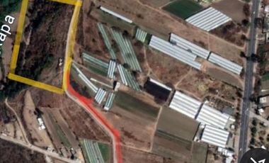 🌾TERRENOS CAMPESTRES UNA  INVERSIÓN INTELIGENTE, VIDA AUTÉNTICA 🏡3328 Y 1513 mts2