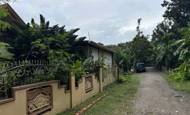 HOUSE AND LOT FOR SALE IN SIBULAN ID 14964