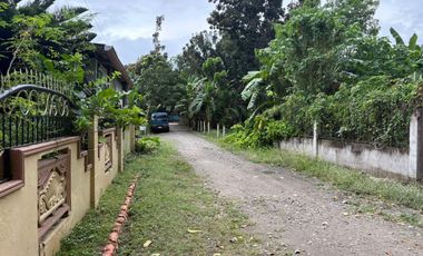 HOUSE AND LOT FOR SALE IN SIBULAN ID 14964