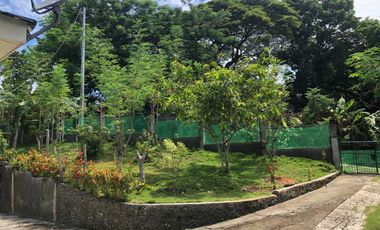 HOUSE AND LOT FOR SALE SIQ00156