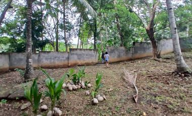 HOUSE AND LOT FOR SALE SIQ00156