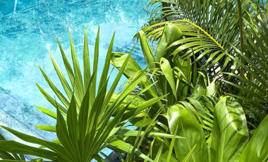 Casa en venta en Tulum, residencial privado con carril de nado!