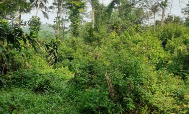 1,6 Ha Tanah Pinggir Jalan Mainroad, Mandalasari, Cikalong Wetan, Bandung Barat.