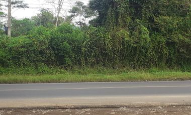 1,6 Ha Tanah Pinggir Jalan Mainroad, Mandalasari, Cikalong Wetan, Bandung Barat.