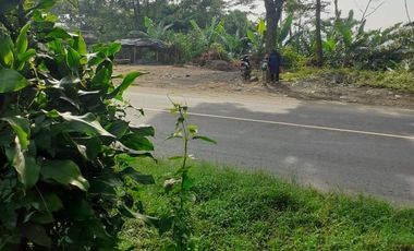1,6 Ha Tanah Pinggir Jalan Mainroad, Mandalasari, Cikalong Wetan, Bandung Barat.