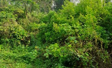 1,6 Ha Tanah Pinggir Jalan Mainroad, Mandalasari, Cikalong Wetan, Bandung Barat.