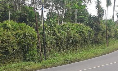1,6 Ha Tanah Pinggir Jalan Mainroad, Mandalasari, Cikalong Wetan, Bandung Barat.