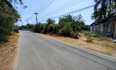 3-2-0 Rai | Tree Covered Land For Sale  Subdivided Into 3 Home Building Plots