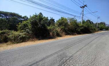 3-2-0 Rai | Tree Covered Land For Sale  Subdivided Into 3 Home Building Plots