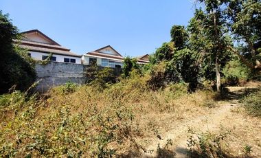 3-2-0 Rai | Tree Covered Land For Sale  Subdivided Into 3 Home Building Plots
