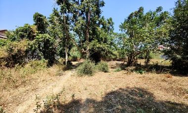 3-2-0 Rai | Tree Covered Land For Sale  Subdivided Into 3 Home Building Plots