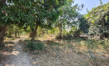 3-2-0 Rai | Tree Covered Land For Sale  Subdivided Into 3 Home Building Plots