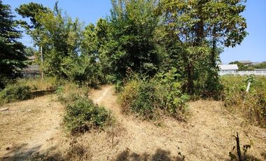 3-2-0 Rai | Tree Covered Land For Sale  Subdivided Into 3 Home Building Plots